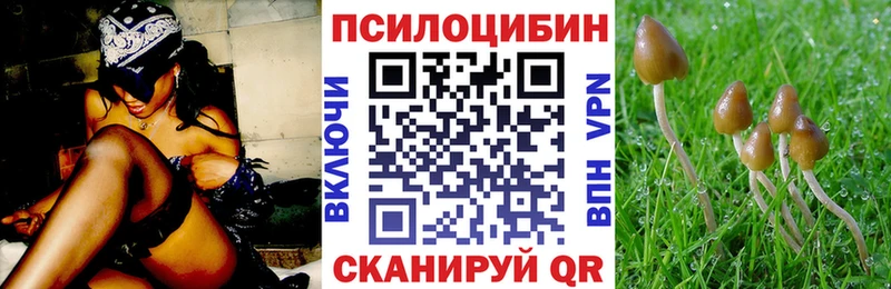 Псилоцибиновые грибы Cubensis  Краснокаменск 
