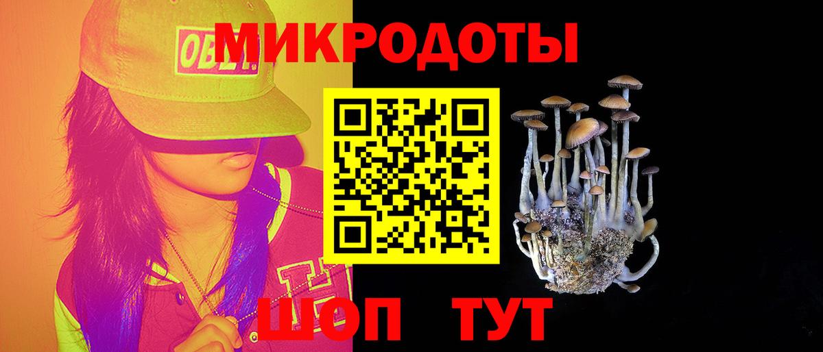 Краснокаменск  Галлюциногенные грибы прущие грибы  Вход с VPN 